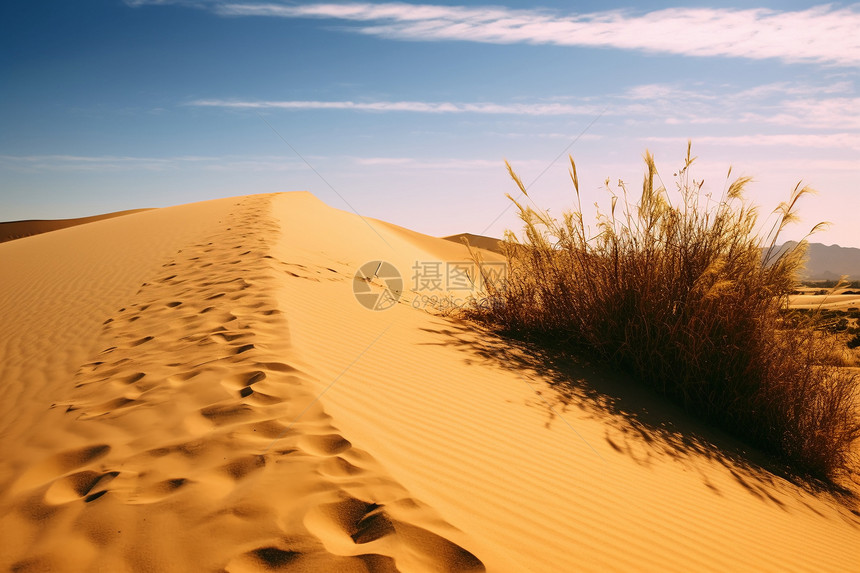 夏季户外沙漠图片