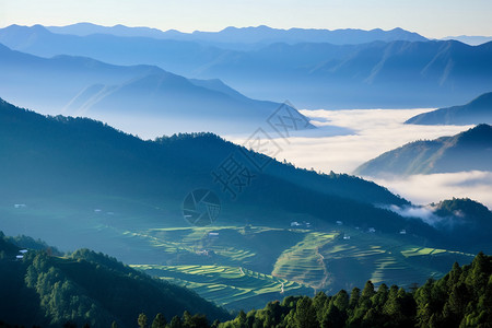 大山深处的绿色图片