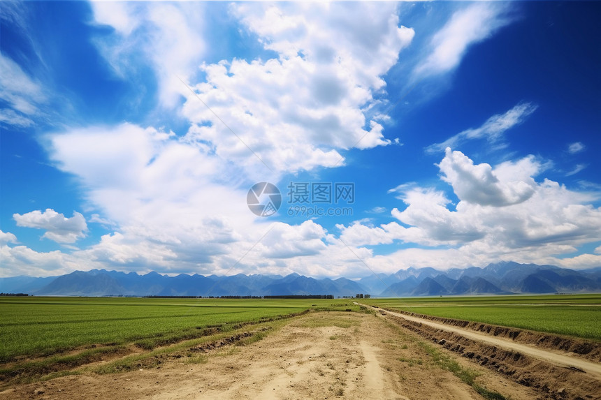 蓝天白云下的农田图片