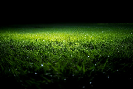 地面上的草坪背景图片