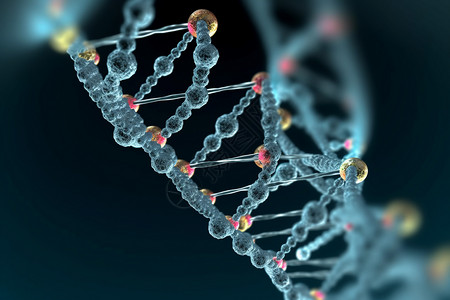 链条基因分子结构背景图片