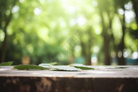 宣传展板背景阳光植物的背景背景