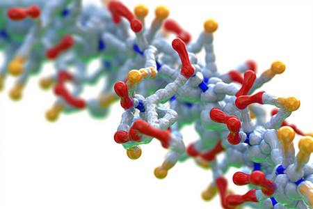 蛋白质分子结构图片