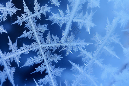 白色水晶雪花冬天的雪花背景