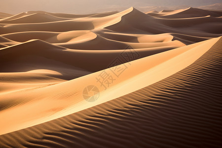沙漠纹理线条风景背景图片