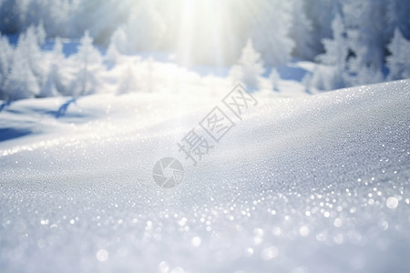 雪地里的雪花图片