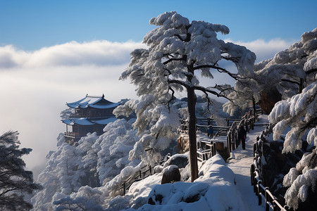 冬季黄山风景区的自然景观背景图片