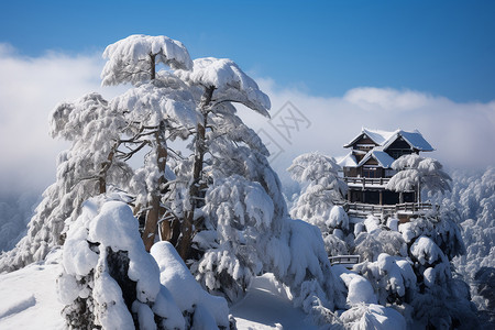 白雪覆盖的黄山自然景观图片