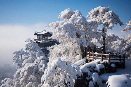 冬季黄山冬季的黄山自然景观背景