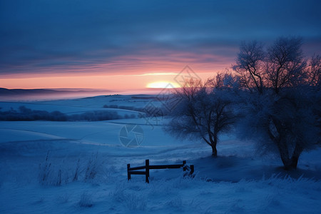 冬季草原自然景观图片