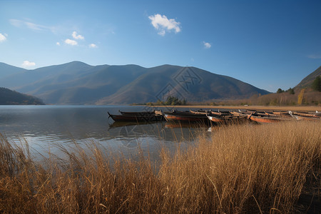 泸沽湖的自然美景图片