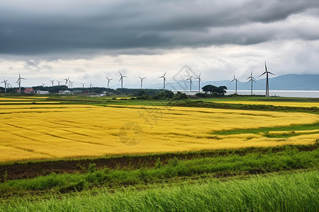 风力发电农场图片