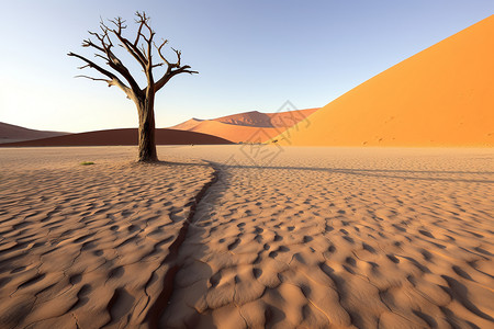 浩渺的沙丘背景图片