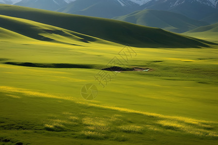 优美胜地夏季出行的胜地设计图片