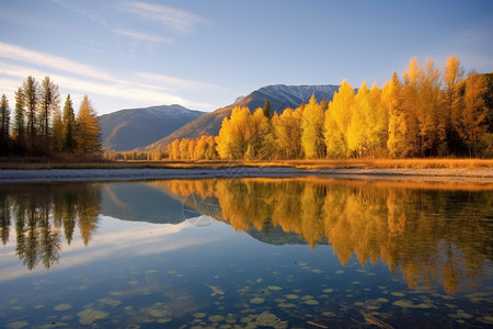 秋季的森林和湖泊背景图片