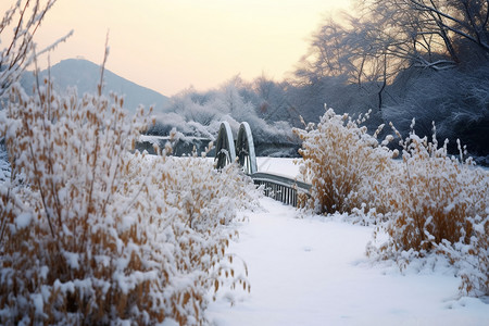 冬季的户外雪景图片