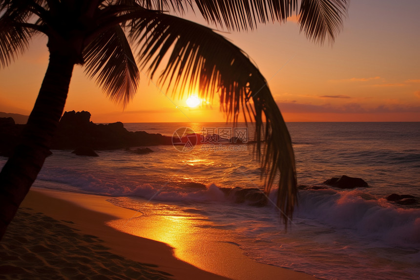 日落热带海洋图片
