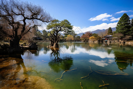 丽江风光美景图片