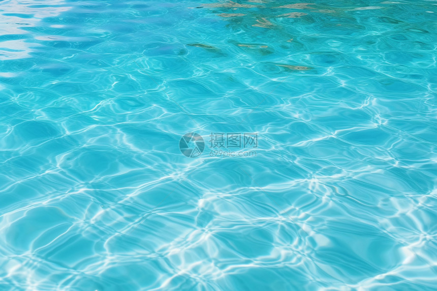 夏天的泳池图片