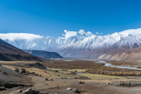 夏天帕米尔高原的美丽景观图片