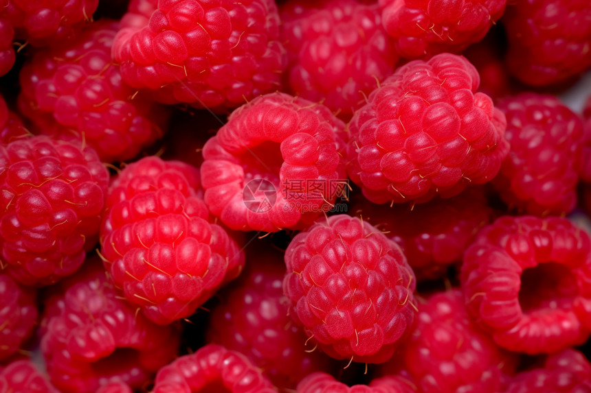 红彤彤的树莓图片