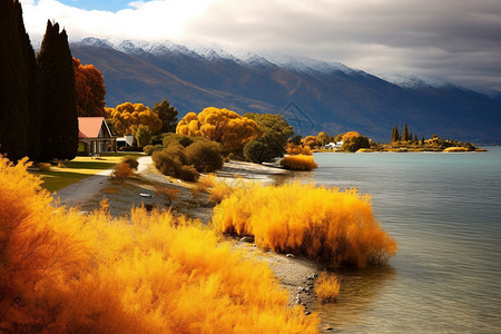 高清草皮素材秋天的树与湖泊背景