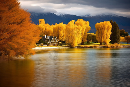 高清草皮素材金色的树和湖泊背景