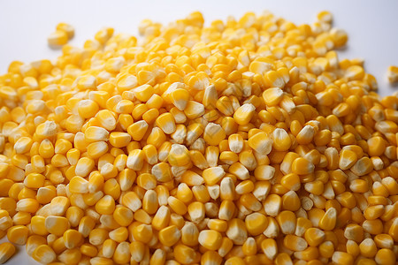 色泽饱满的玉米粒高清图片