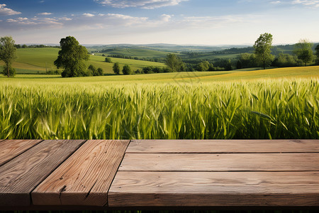 麦田木板农村景色和木桌设计图片