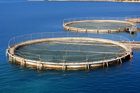 水产养殖渔网图片