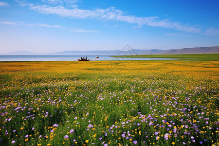新疆伊犁赛里木湖风景背景图片