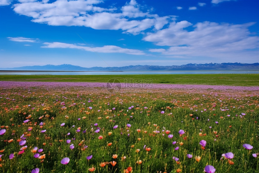 新疆伊犁自然风光图片