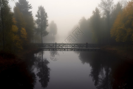 森林中迷雾笼罩的湖水图片