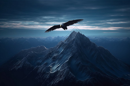 山间飞行的老鹰图片