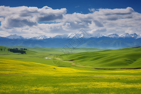 新疆是个好地方新疆的好风景背景