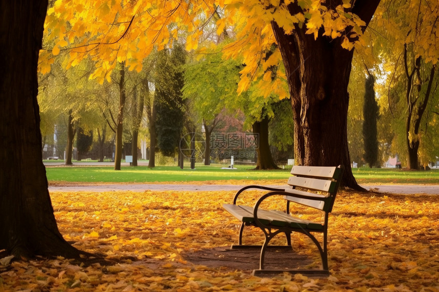秋季天公园的长椅图片