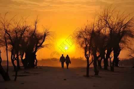 夕阳下美丽的沙漠景象图片