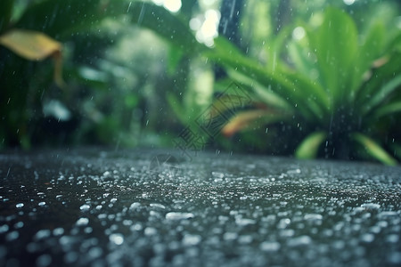 热带丛林中的大雨滴图片