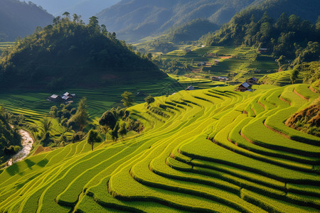 山脉丘陵中的田地背景图片