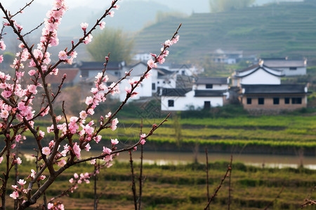 村庄美丽的风景图片