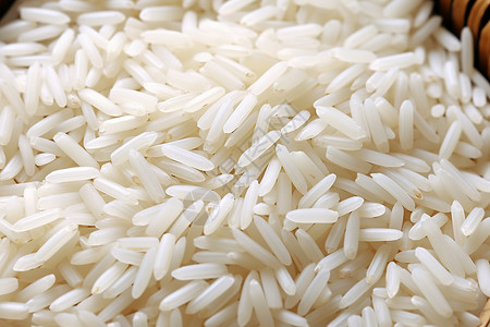 泰国香米水稻种子高清图片