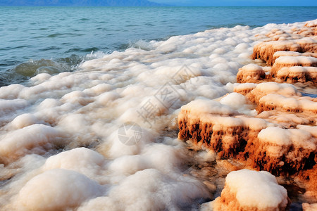 死海盐海滩上成堆的白盐背景