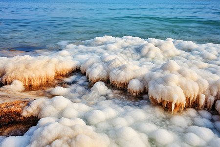 死海盐岩石上附着的白盐背景