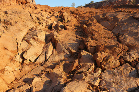 火星表面的岩石图片