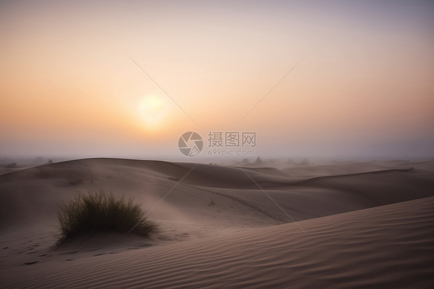 沙漠宁静的早晨图片