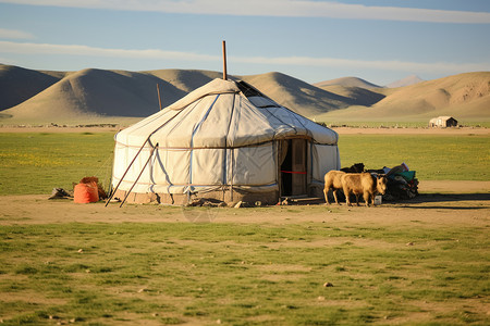 蒙古牧民的蒙古包背景图片