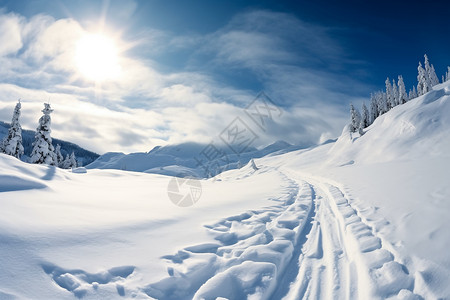 暴雪覆盖的路面图片