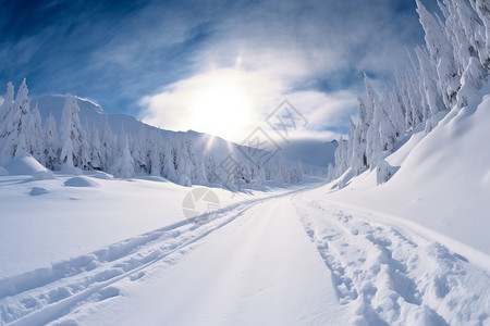 冬天的雪景景观图片