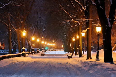 浪漫的雪景街道背景图片