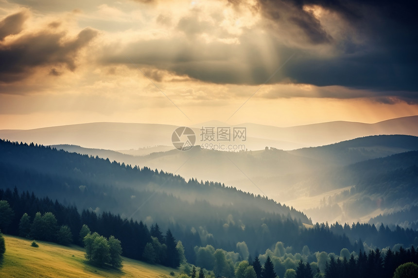 远山和森林的美丽风景图片